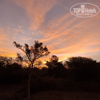 фото из отзыва ID 2724567