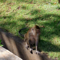 фото из отзыва ID 2724567