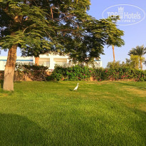 фото из отзыва ID 2724603