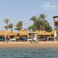 фото из отзыва ID 2724641