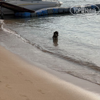 фото из отзыва ID 2724641