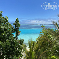 фото из отзыва ID 2724653