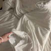 фото из отзыва ID 2724654