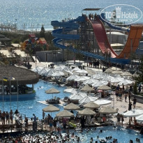 фото из отзыва ID 2724668