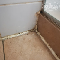 фото из отзыва ID 2724672