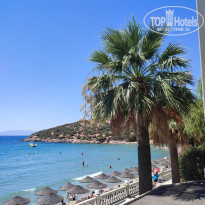 фото из отзыва ID 2724675