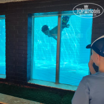 фото из отзыва ID 2724675