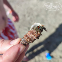 фото из отзыва ID 2724675