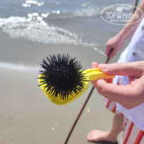 фото из отзыва ID 2724675