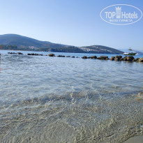 фото из отзыва ID 2724675