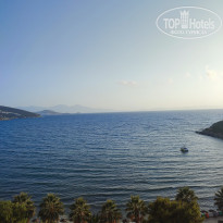 фото из отзыва ID 2724675