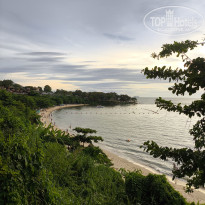 фото из отзыва ID 2724676