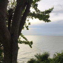 фото из отзыва ID 2724676