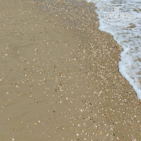 фото из отзыва ID 2724690