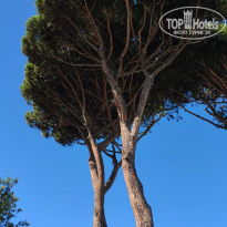 фото из отзыва ID 2724690