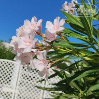 фото из отзыва ID 2724690