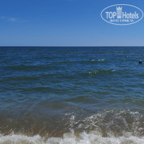 фото из отзыва ID 2724690