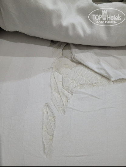 New photos from tourists Alpha Plaza Hotel & SPA 