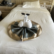 фото из отзыва ID 2724733