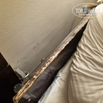 фото из отзыва ID 2724737