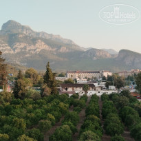 фото из отзыва ID 2724746