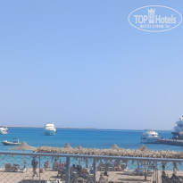 фото из отзыва ID 2724788