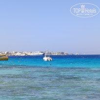 фото из отзыва ID 2724788