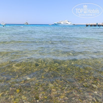 фото из отзыва ID 2724788