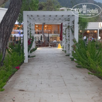 фото из отзыва ID 2724785