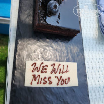 фото из отзыва ID 2724787