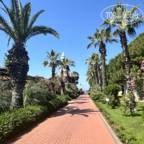 фото из отзыва ID 2724813