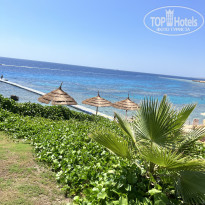 фото из отзыва ID 2724812