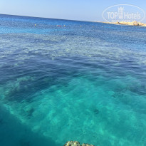 фото из отзыва ID 2724812