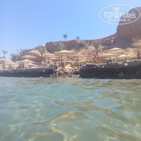 фото из отзыва ID 2724759