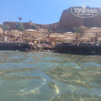 фото из отзыва ID 2724759