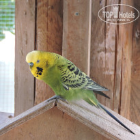 фото из отзыва ID 2724818