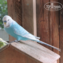 фото из отзыва ID 2724818