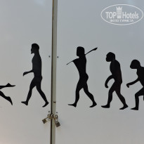 фото из отзыва ID 2724818