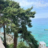 фото из отзыва ID 2724819