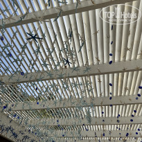 фото из отзыва ID 2724819