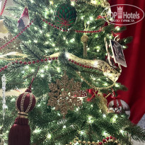 фото из отзыва ID 2724819