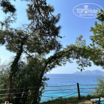 фото из отзыва ID 2724819