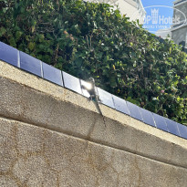 фото из отзыва ID 2724819