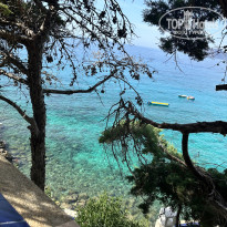 фото из отзыва ID 2724819