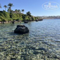 фото из отзыва ID 2724836