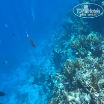 фото из отзыва ID 2724859