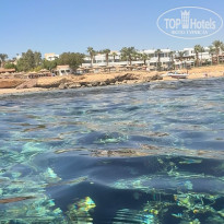 фото из отзыва ID 2724859