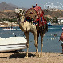 фото из отзыва ID 2724859