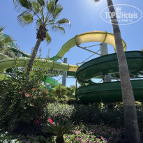 фото из отзыва ID 2724864