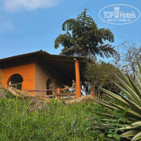 фото из отзыва ID 2724876